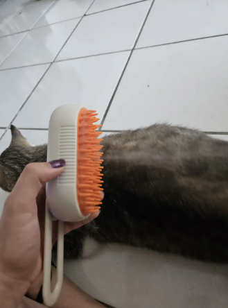 Pet feliz após o uso